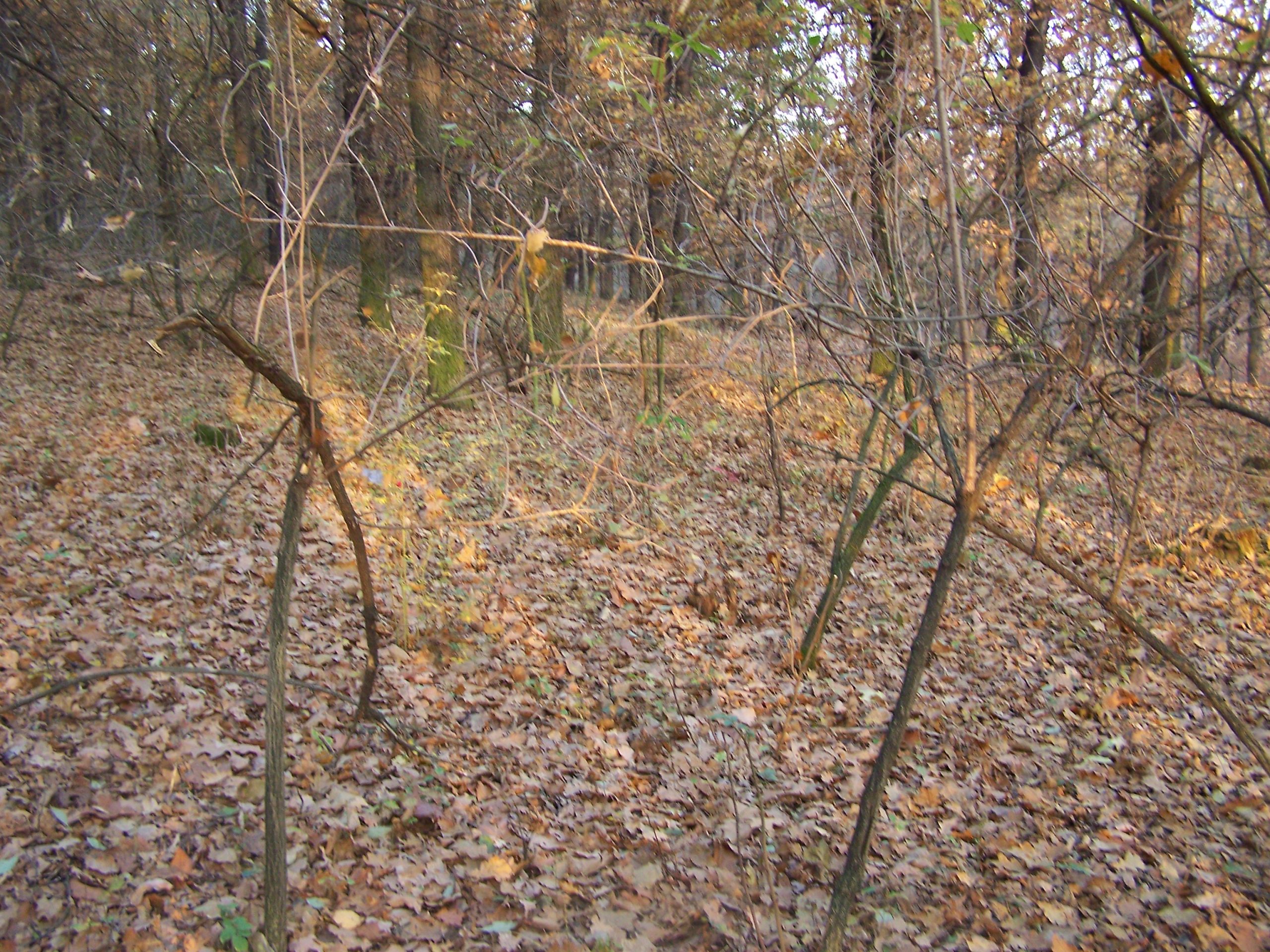 Remains of the Bunker Area, Autumn 2012