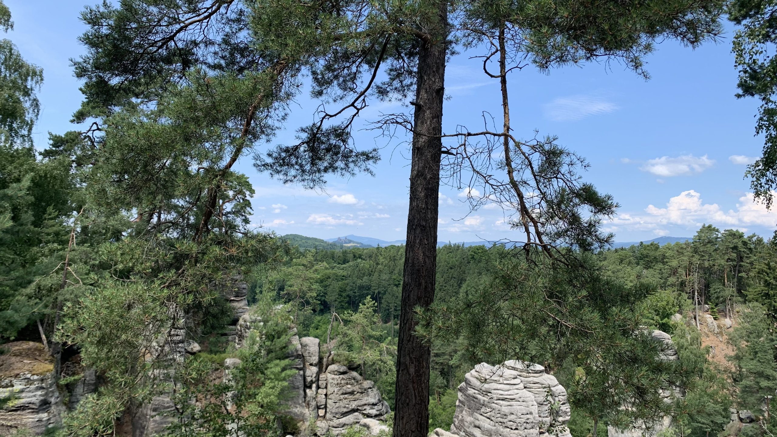 View towards Troya